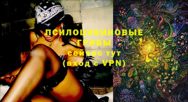 первитин Володарск