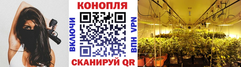 Шишки марихуана сатива  Купить закладки  Кимры 